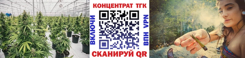 наркотики  Сысерть  ТГК THC oil 